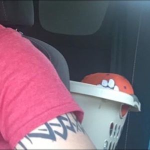 Meet your Posher, Christopher